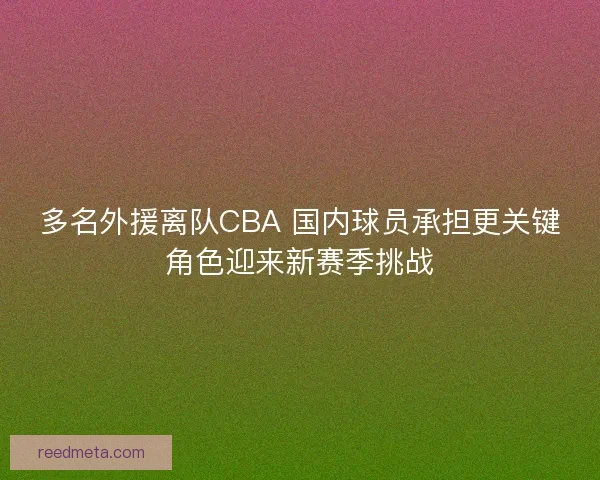 多名外援离队CBA 国内球员承担更关键角色迎来新赛季挑战